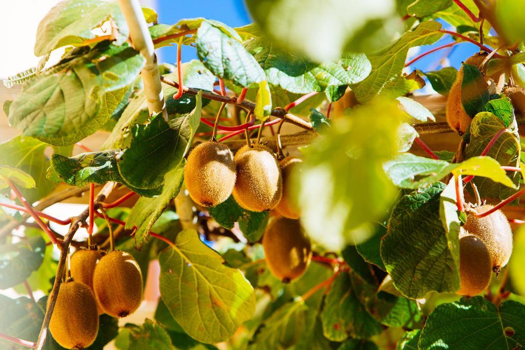 Agriturismo La Coccinella Valfabbrica Ngoại thất bức ảnh