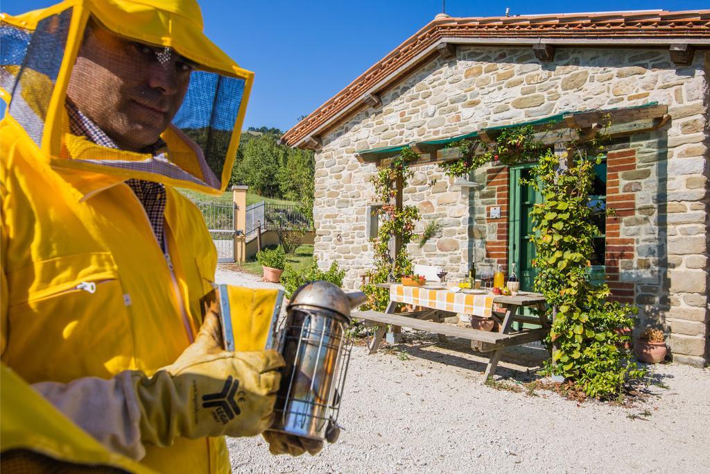 Agriturismo La Coccinella Valfabbrica Ngoại thất bức ảnh