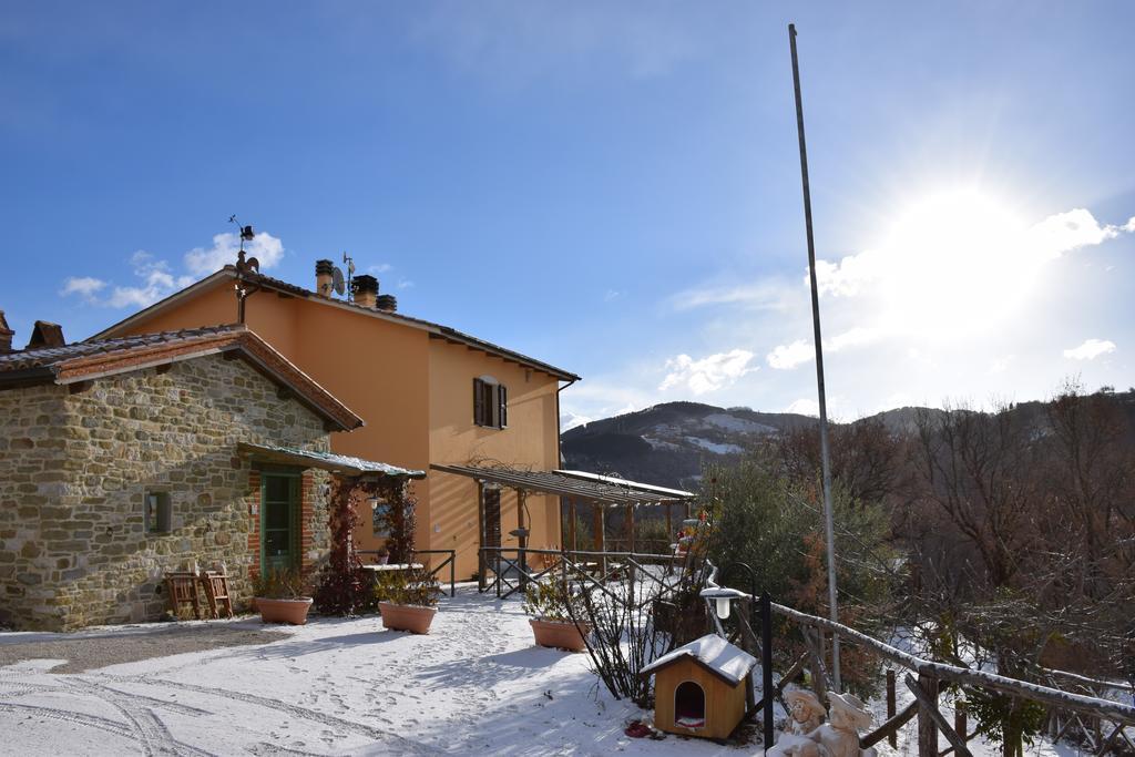 Agriturismo La Coccinella Valfabbrica Ngoại thất bức ảnh